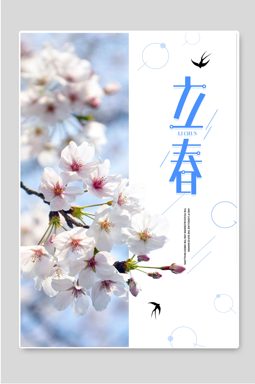 立春24传统节气海报素材