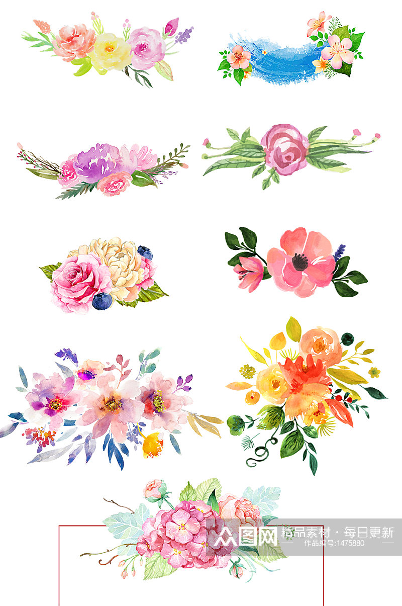 水墨植物花朵插画手绘素材