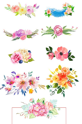 水墨植物花朵插画手绘