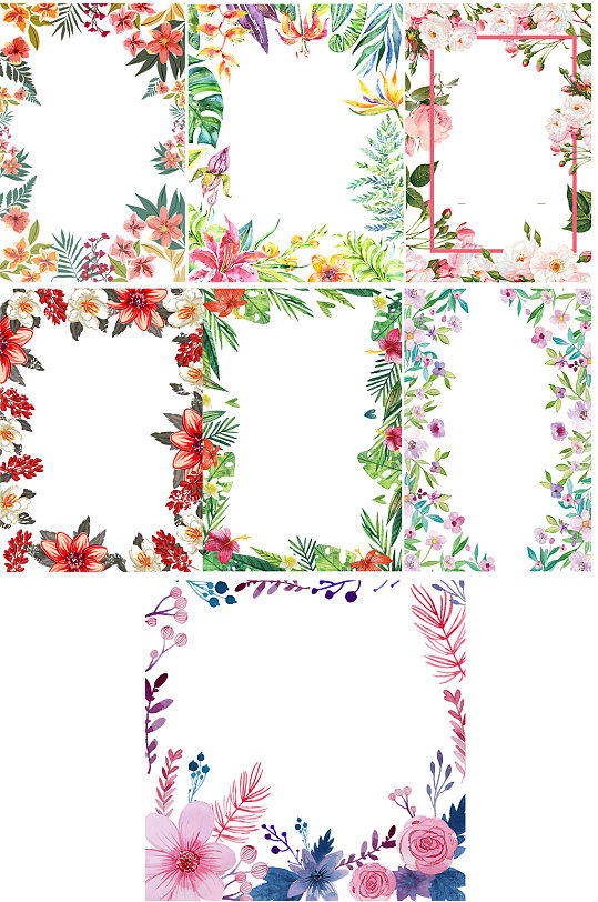 热带风情彩色花朵植物边框素材