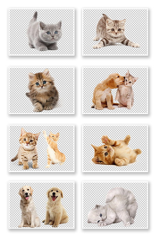 宠物动物小猫小狗友爱互动免扣素材-众图网