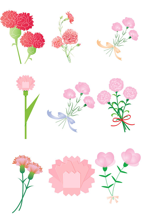 粉色康乃馨鲜花绽放绿色春天植物 母亲节素材元素