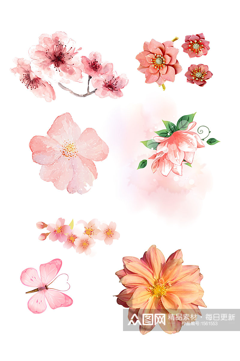 春天桃花开放一朵花朵粉色立春素材