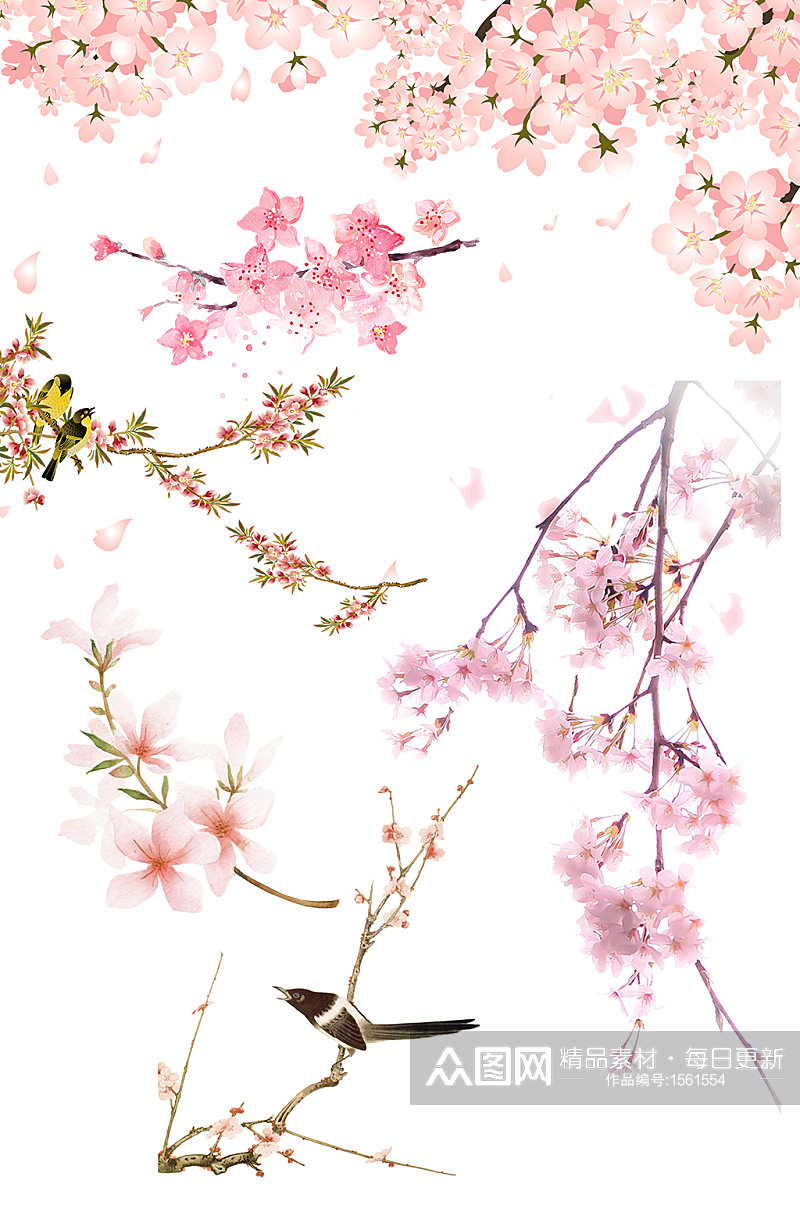 粉色鲜艳花朵春天春暖花开清明节素材