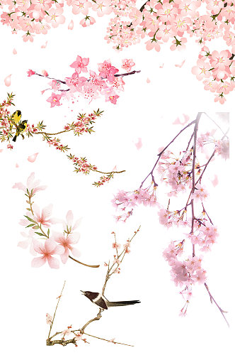 粉色鲜艳花朵春天春暖花开清明节