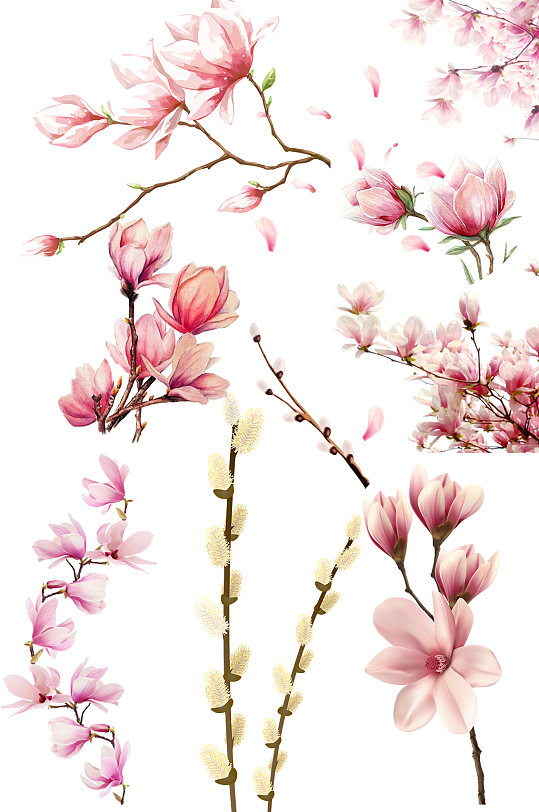 预览春天春分早春清明踏青花朵枝条