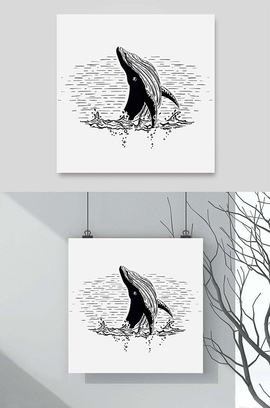 黑白鲸鱼大海出水跃龙门动物