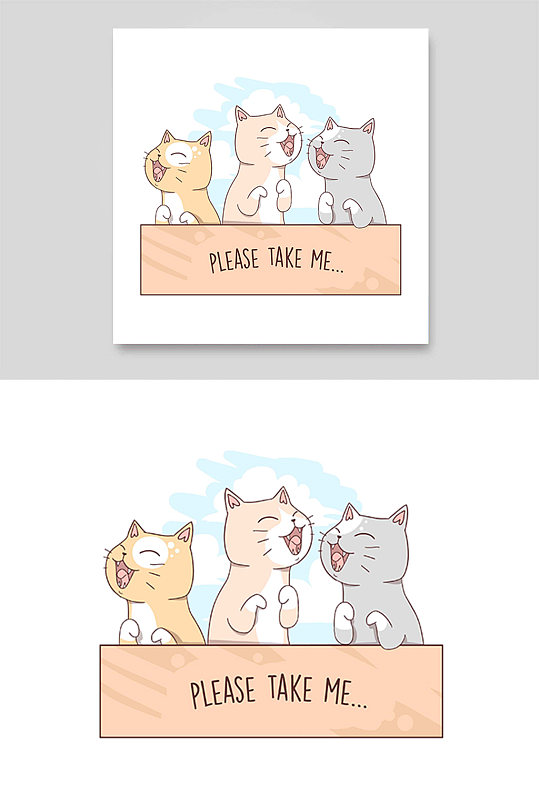 三只小猫可爱领养宠物橘猫短毛喵