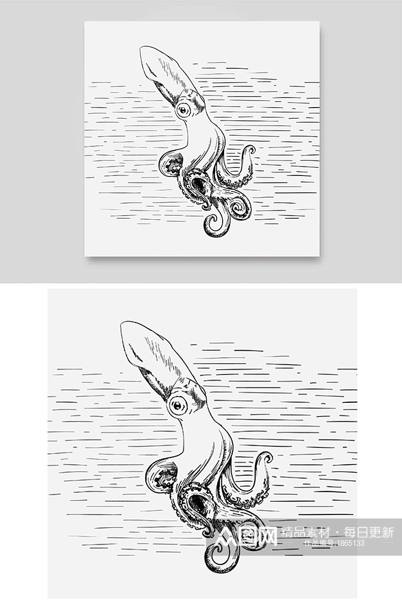 章鱼乌贼八爪鱼海洋生物铅笔素描手绘素材