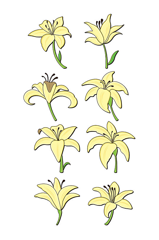 黄色百合香水植物花朵矢量免扣元素