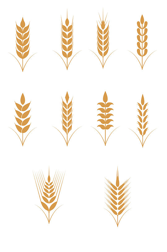 小麦植物麦穗粮食农作物矢量免扣元素