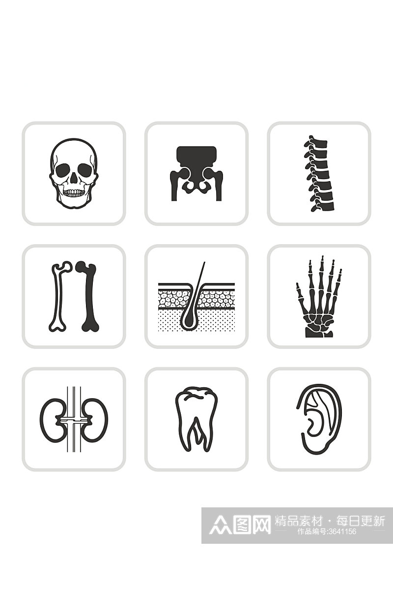 骷髅手鼓牙齿耳朵人体器官医学矢量免扣元素素材