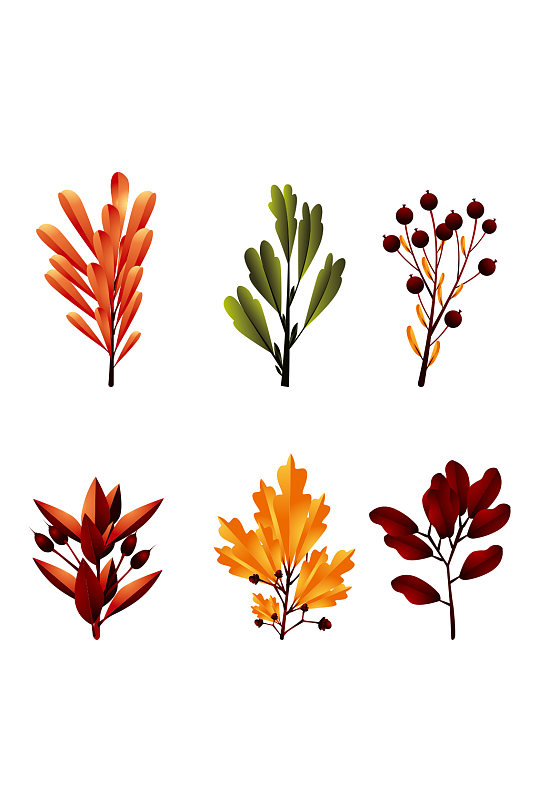 秋天果实植物树叶成熟丰收矢量免扣元素