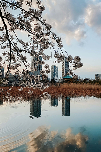 日本东京场景实拍摄影图片