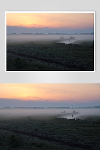 大雾起雾森林摄影图