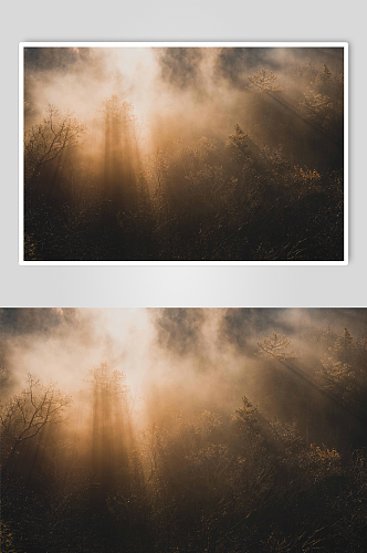 大雾起雾森林摄影图
