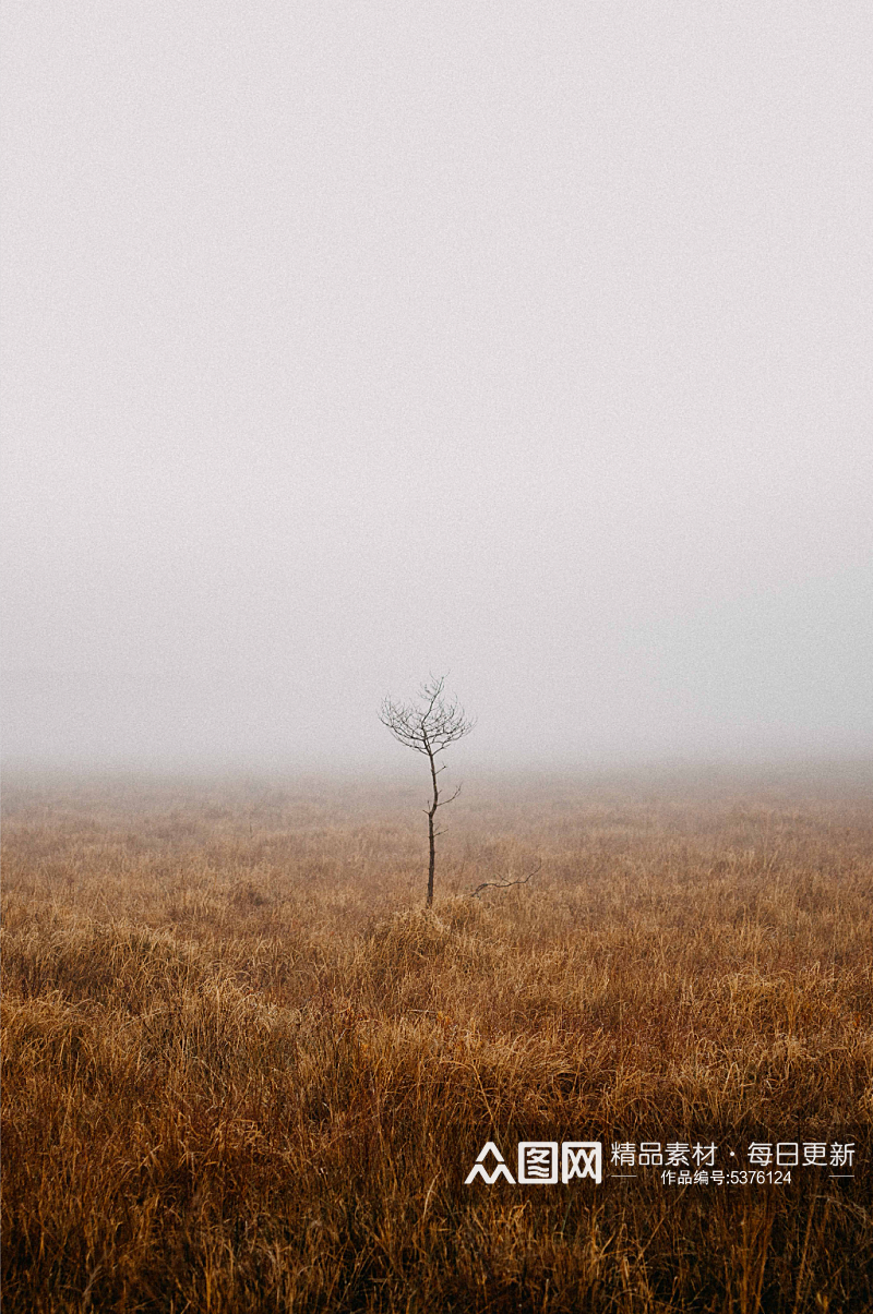 大雾起雾森林摄影图素材
