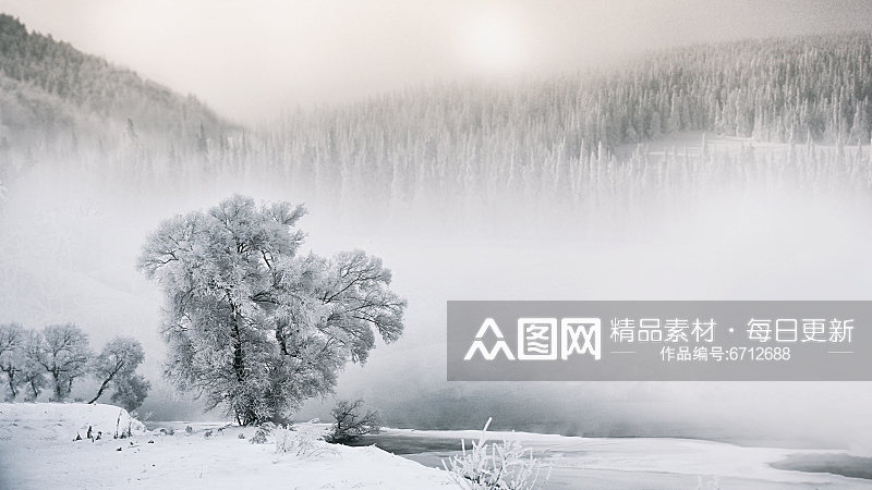 特写冬日雪景风景摄影图素材