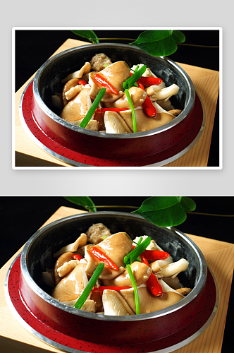 石锅猪肚菌美食摄影图片