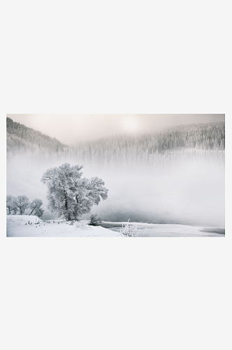 特写冬日雪景风景摄影图