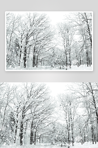 高清冬日雪景风景摄影图