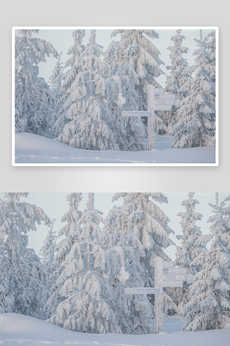 高清冬日雪景风景摄影图