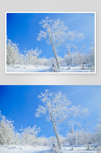 冬日雪景风景高清摄影图