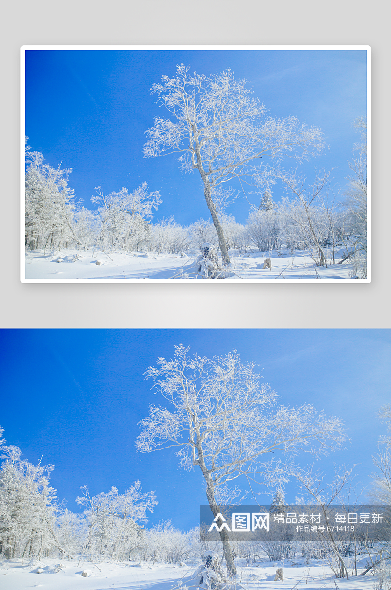 冬日雪景风景高清摄影图素材