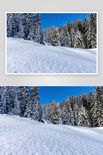 好看冬日雪景风景摄影图