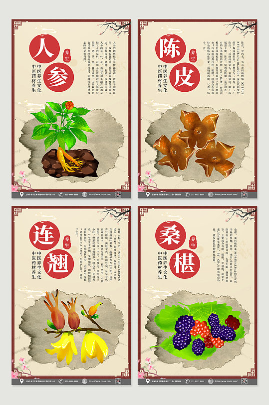 中医药材养生知识宣传四件套海报