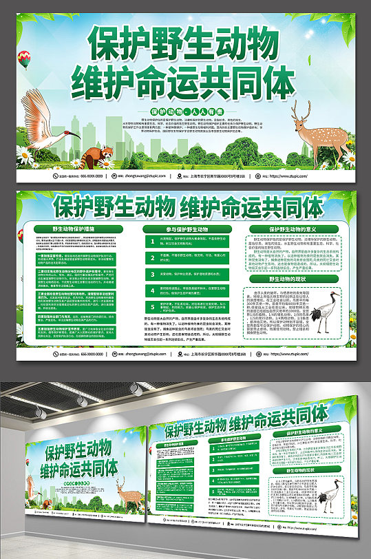 绿色环保保护野生动物宣传栏展板