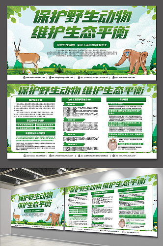 高端绿色保护野生动物宣传栏展板