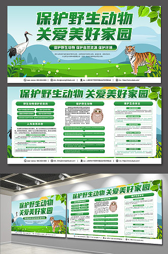 创意环保保护野生动物宣传栏展板