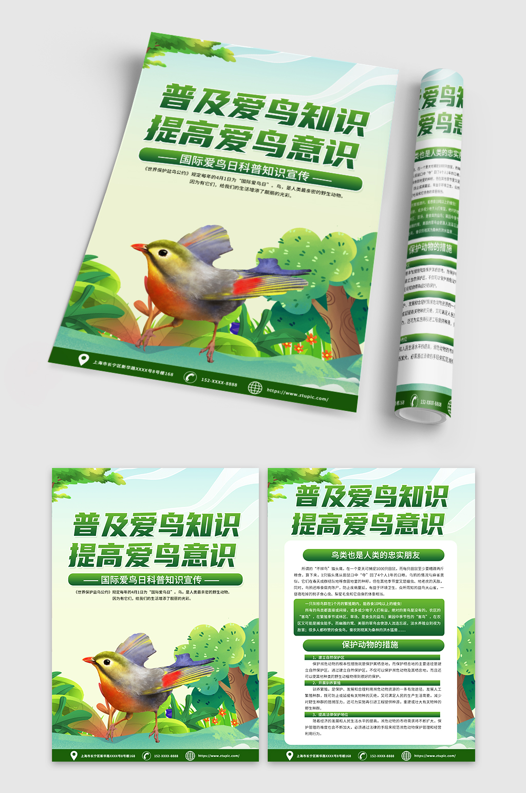 绿色时尚爱鸟日宣传科普知识宣传单DM素材