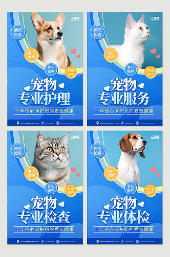 蓝色时尚宠物店医院系列萌宠摄影图宣传海报
