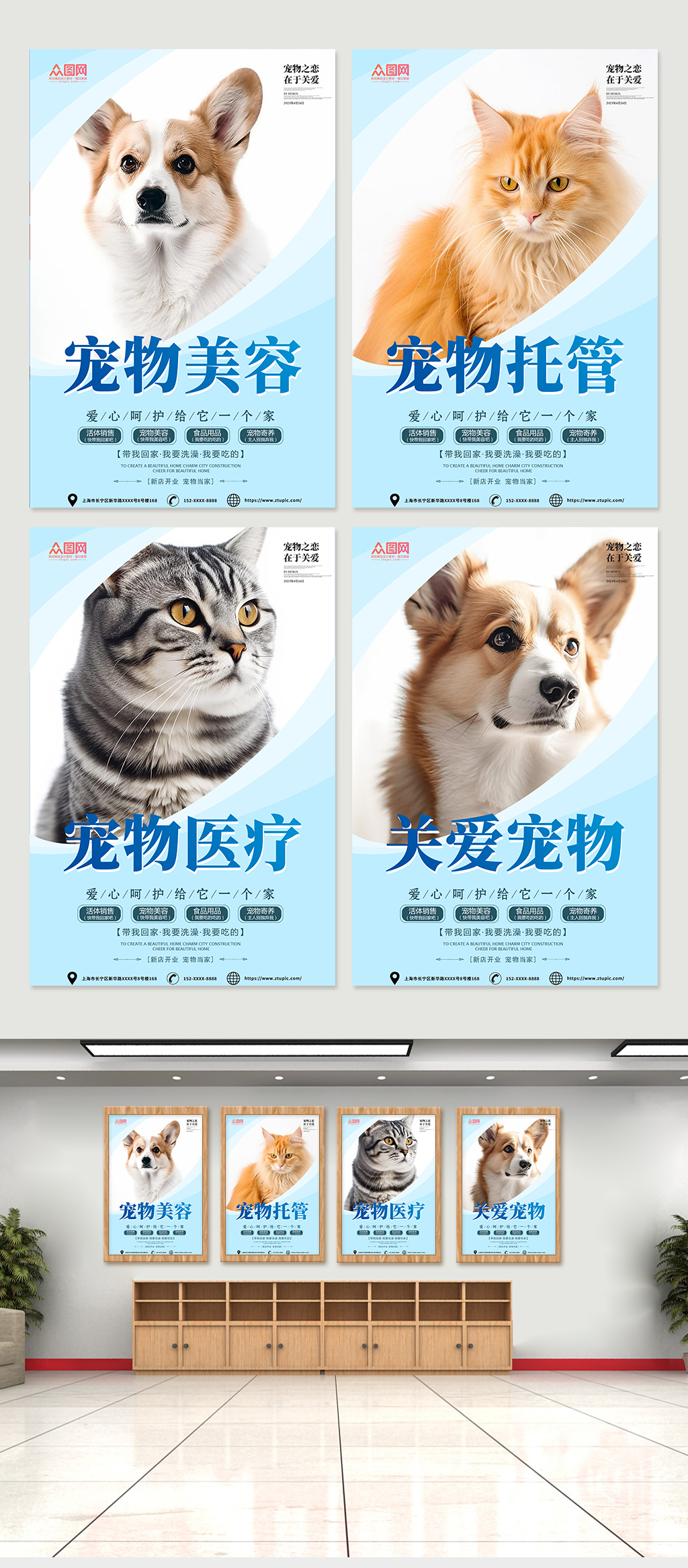 大气蓝色宠物店医院系列萌宠摄影图宣传海报