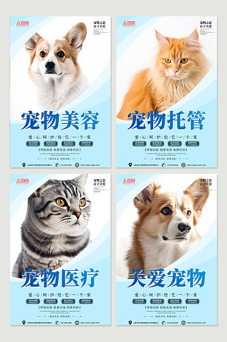 大气蓝色宠物店医院系列萌宠摄影图宣传海报