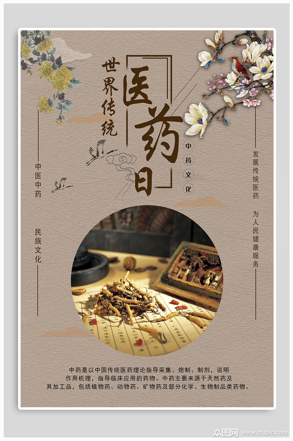 世界传统医药日宣传海报