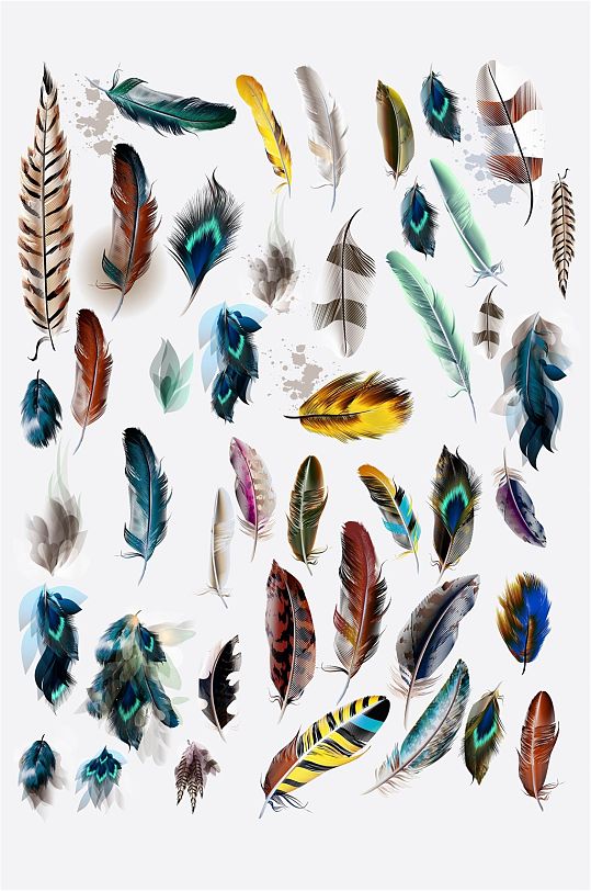 多彩羽毛矢量素材
