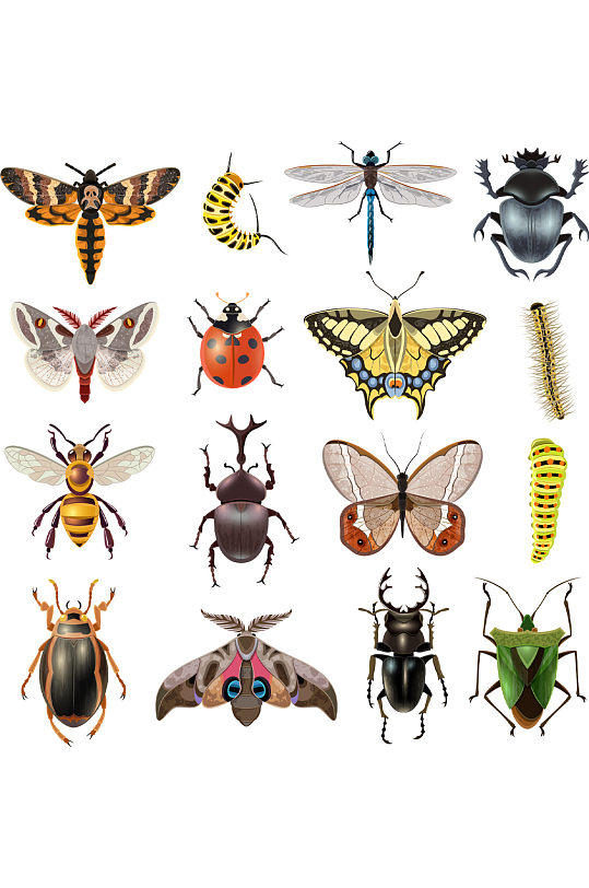 矢量虫子元素-矢量虫子元素图片-矢量虫子元素素材下载-众图网