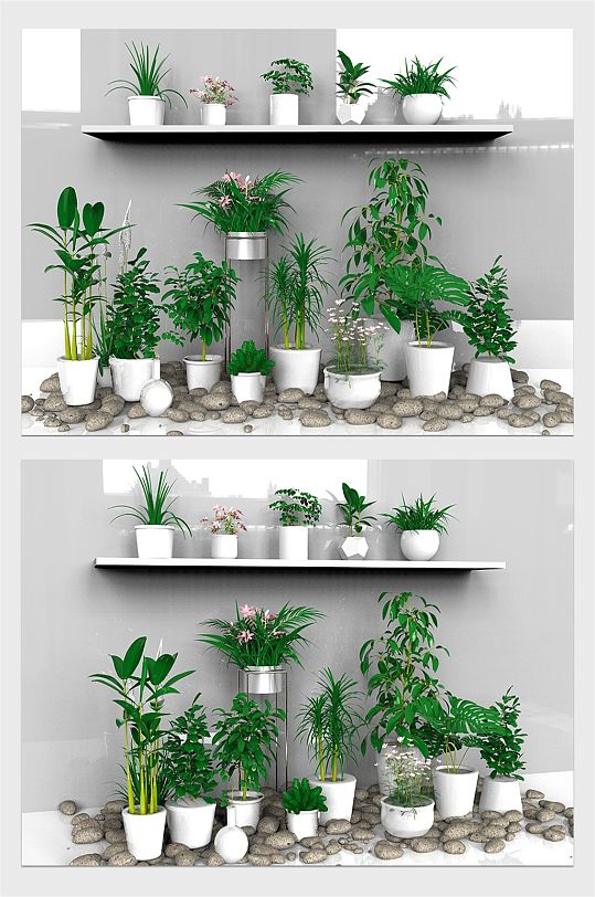 C4D盆景植物模型