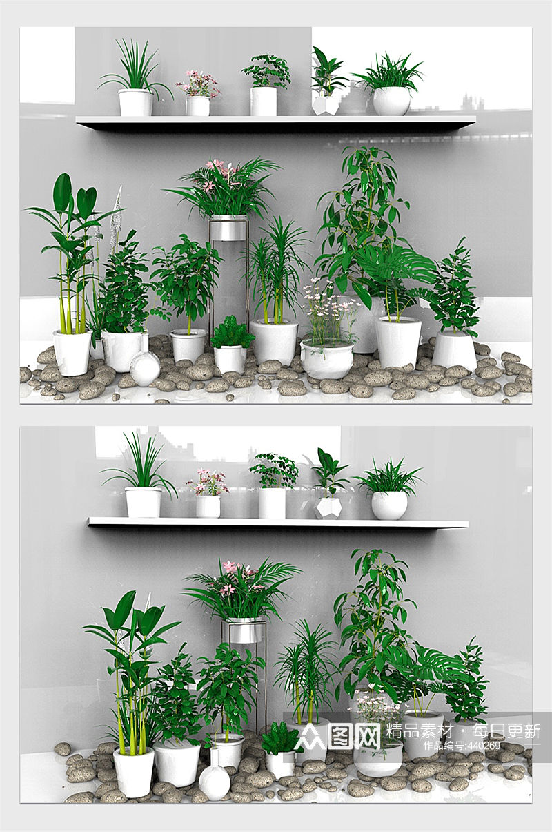 C4D盆景植物模型素材