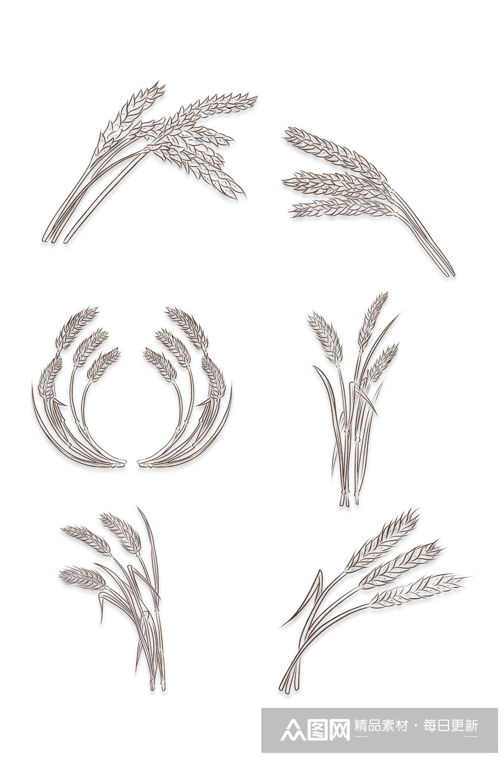 各种小麦线条画素材