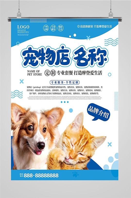 宠物店蓝色品牌介绍海报