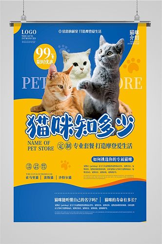 宠物蓝色猫咪猫粮海报