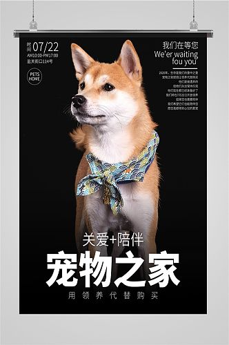 宠物之家柴犬海报
