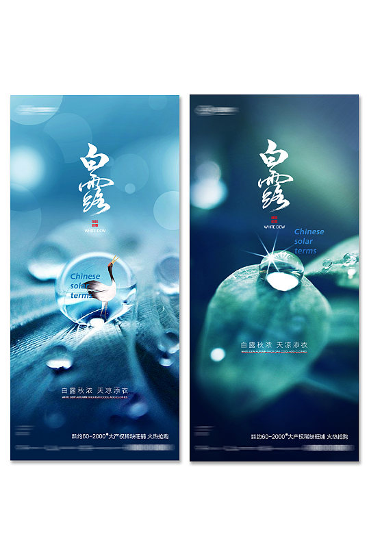 清新节气白露展架海报