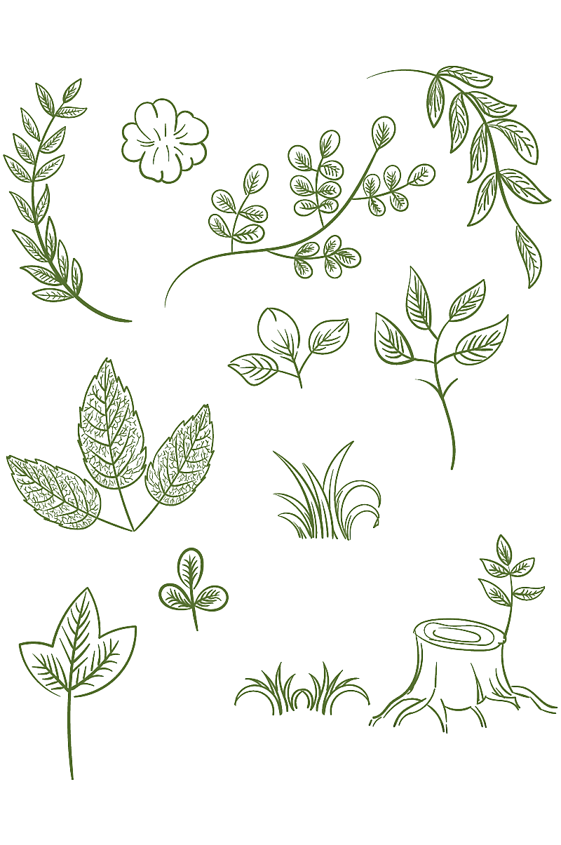 手绘绿色植物叶子线稿底纹素材