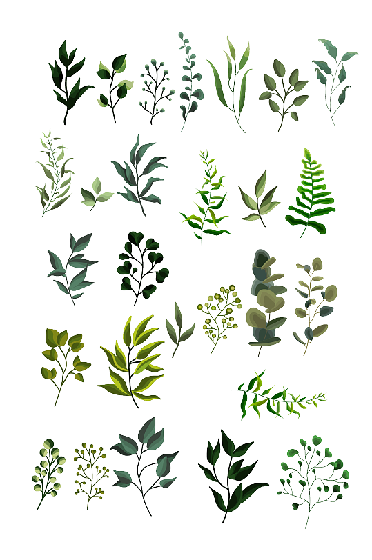植物手绘元素-植物手绘元素图片-植物手绘元素素材下载-众图网
