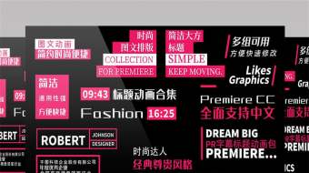 12组时尚简约字幕条文字标题动画PR模板-众图网